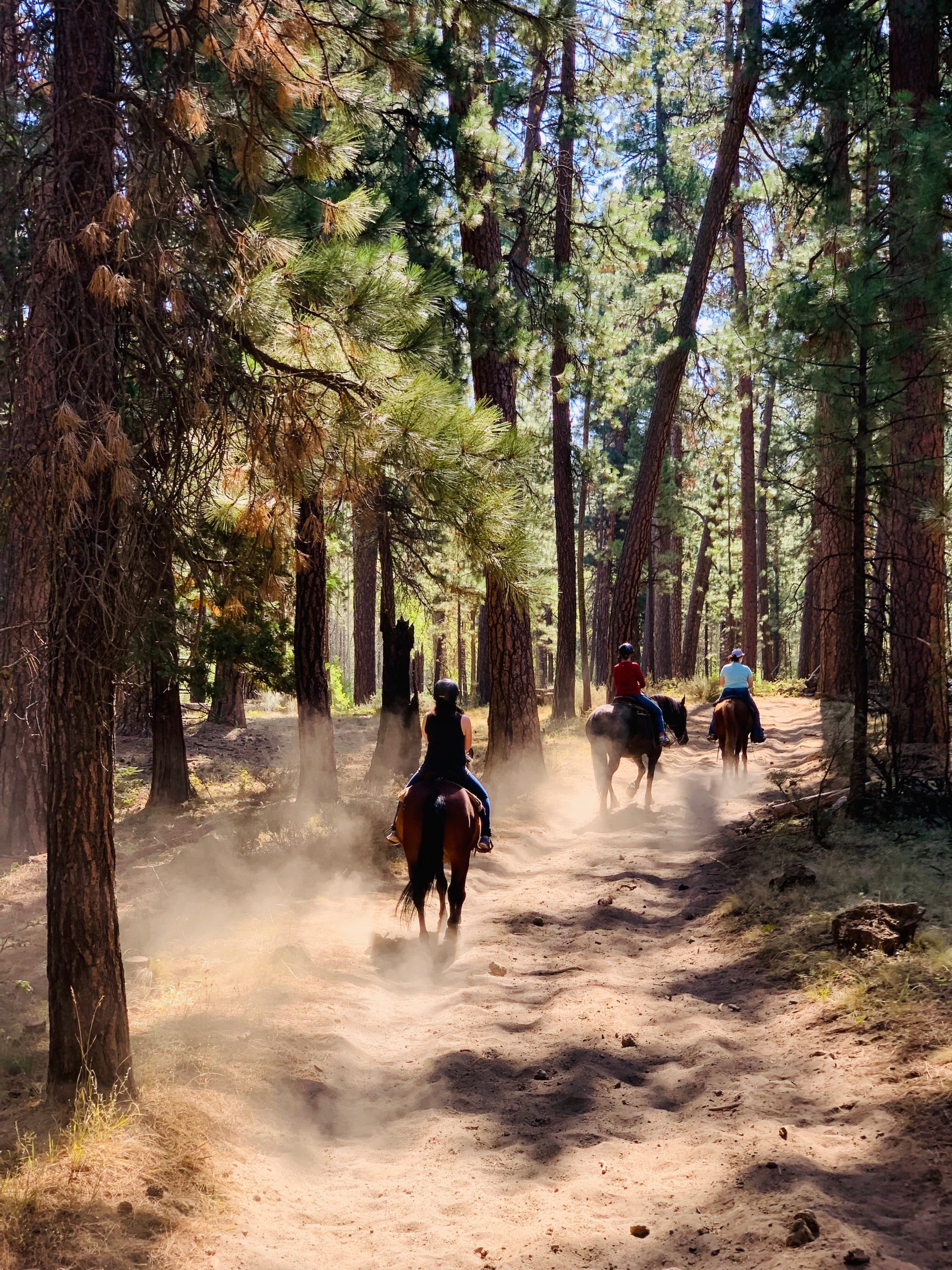 Group horseback riding along a forest trail at a dude ranch.