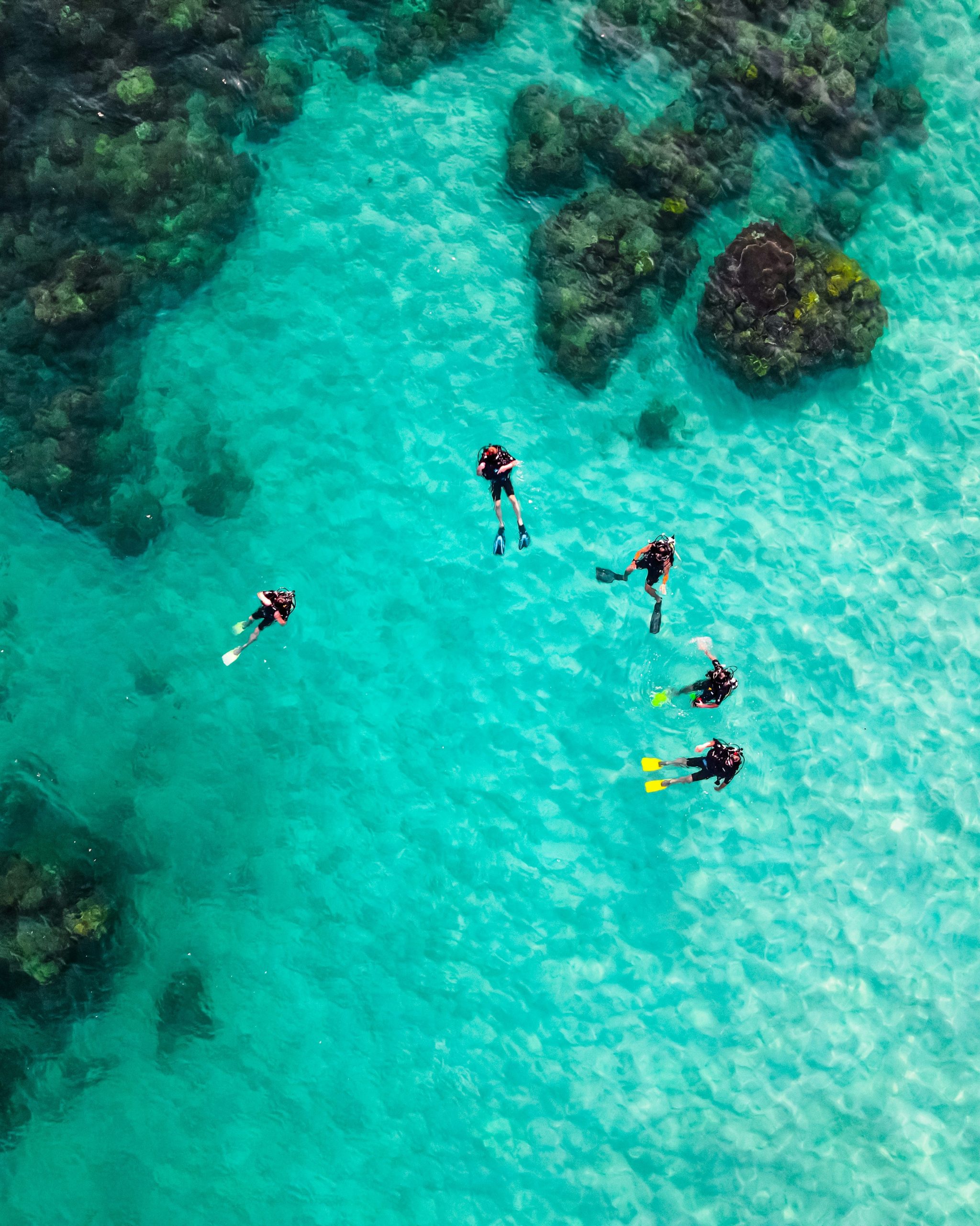 Aerial view of snorkelers in turquoise water